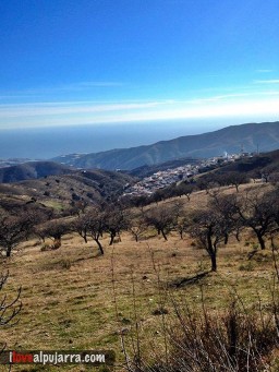 VISTA DE ALBONDÓN