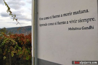 DETALLE DE ALMÓCITA
