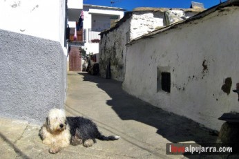 CALLE DE BERCHULES