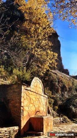 FUENTE AGUA AGRIA DE BERCHULES