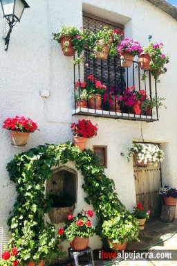 FACHADA EN BUBIÓN