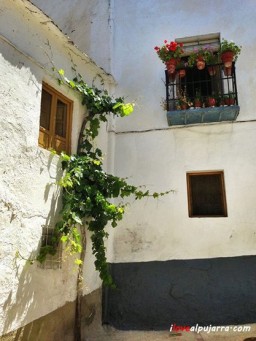 RINCÓN DE CADIÁR