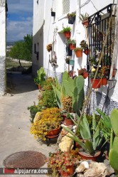 CALLE DE FUENTE VICTORIA