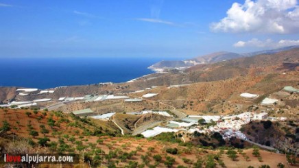 VISTA DE HAZA DEL TRIGO