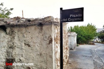 PISADA DEL GIGANTE, JUVILES