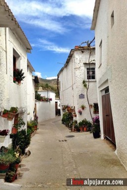 CALLE DE LOBRAS