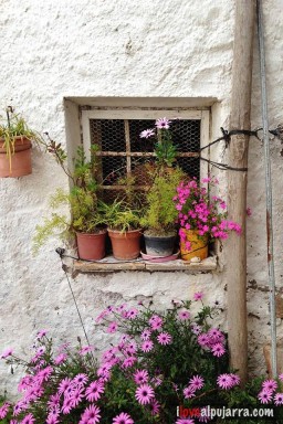 VENTANA EN LOBRAS