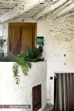 DETALLE DE MECINA FONADALES