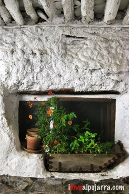 DETALLE DE MECINA FONADALES