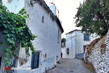 CALLE DE NECHITE