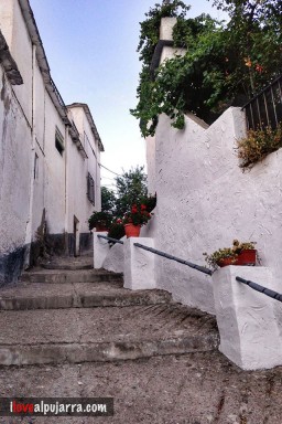 CUESTA EN NECHITE