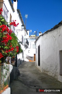 CALLE DE NOTAEZ