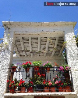 BALCÓN EN PAMPANEIRA