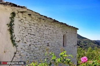 FACHADA DE TREVELEZ